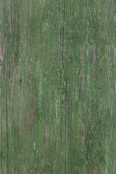 Zöld fa tábla — Stock Fotó
