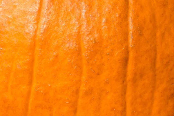 Achtergrond Voor Halloween Close Van Oranje Pompoen — Stockfoto