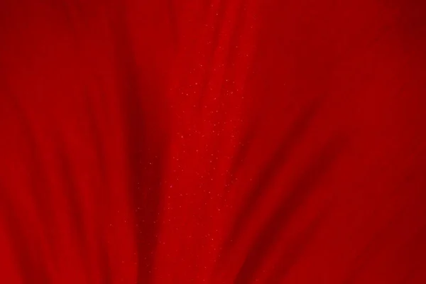 Fondo Natural Abstracto Primer Plano Pétalo Tulipán Rojo —  Fotos de Stock