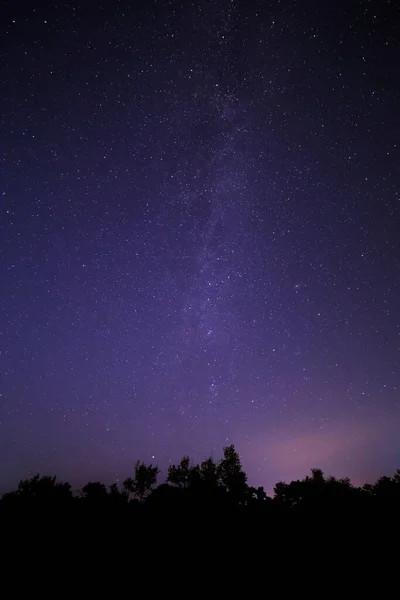 Utsikt Över Natthimlen Med Vintergatans Galax Ovanför Träd — Stockfoto