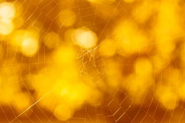 Sfondo Arancione Halloween Primo Piano Ragnatela Contro Cerchi Bokeh — Foto Stock