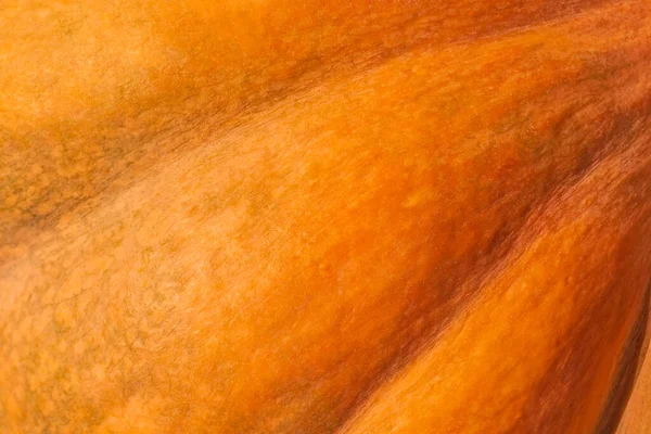 抽象的なハロウィンの背景 オレンジのカボチャのクローズアップ — ストック写真