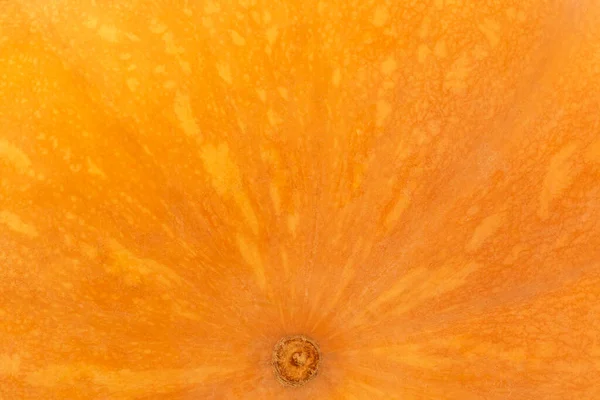 Nahaufnahme Von Leuchtend Orangefarbenen Boden Des Reifen Kürbis Hintergrund — Stockfoto