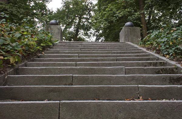 Steps in park — Stock Photo, Image