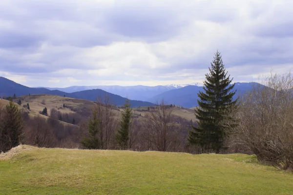 Montagne carpatiche in primavera — Foto Stock