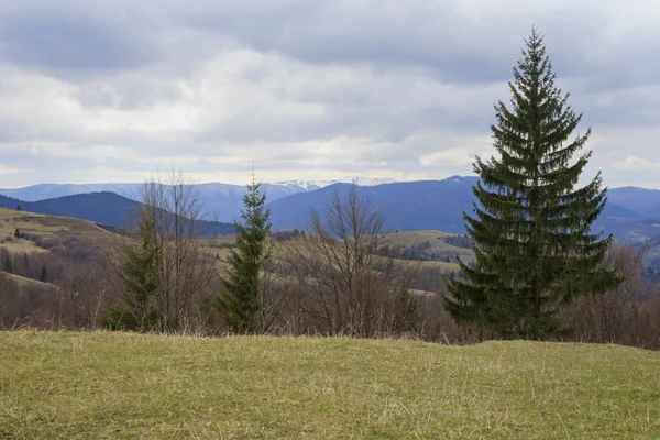 Paysage avec montagnes des Carpates — Photo