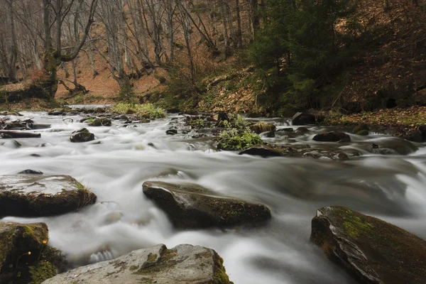 Fiume nelle montagne dei Carpazi — Foto Stock