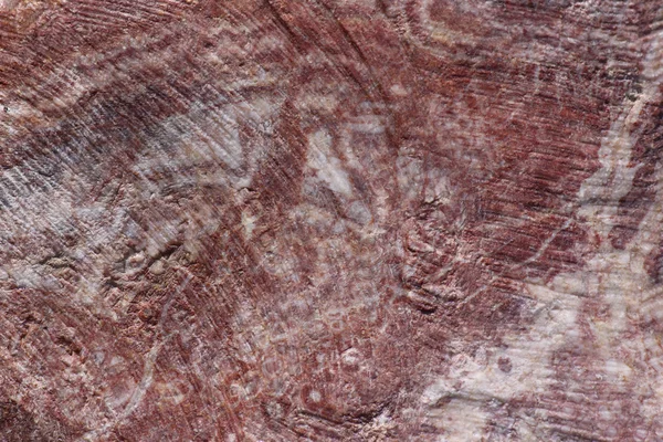 Textur aus rotem Stein — Stockfoto