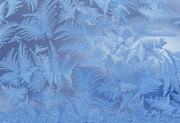 Frost am Fenster — Stockfoto