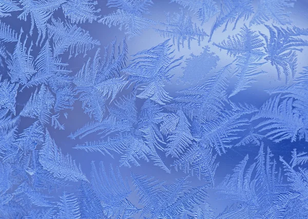 Närbild på frost — Stockfoto