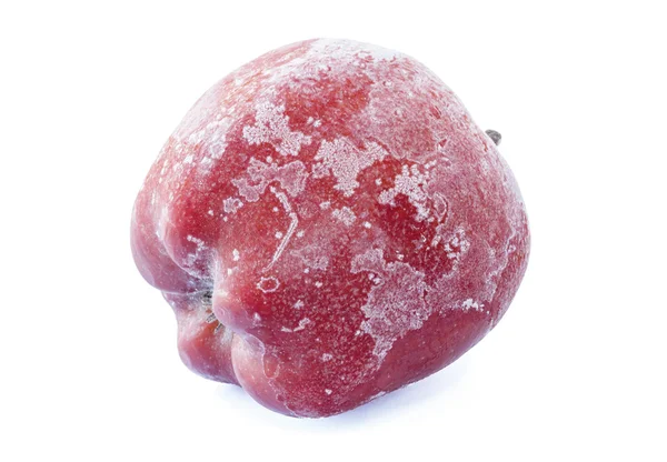 Mela rossa ricoperta di gelo — Foto Stock