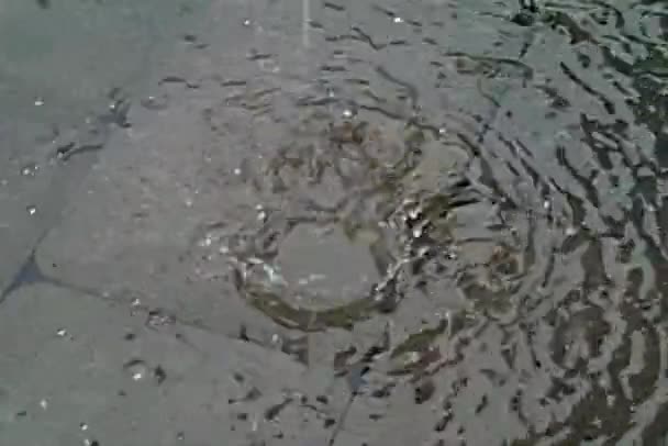 雨滴落在街头的石头上 — 图库视频影像