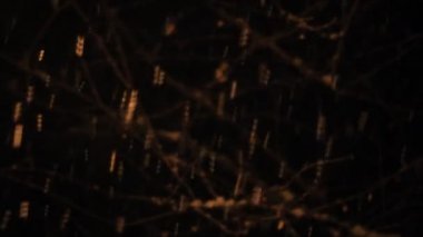 Gece kar yağışı kar taneleri görünümlerde ağaç dalları arka plan