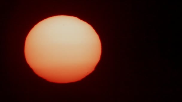 地平線近くの太陽のディスクの鳥シルエット — ストック動画