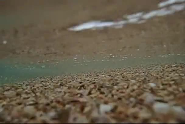 Sand in wave stream — Stock Video