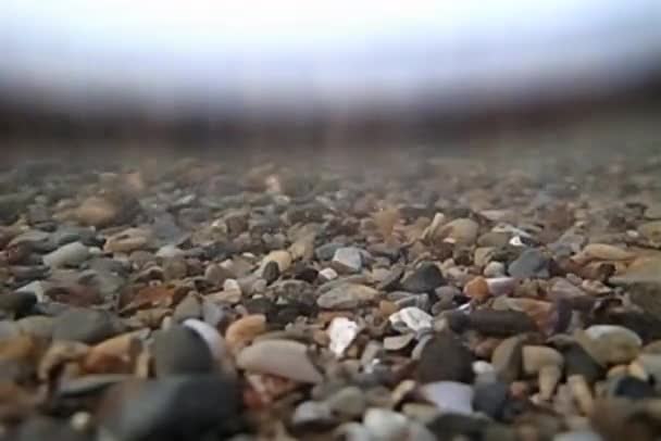 Small stones in wave — Stock Video