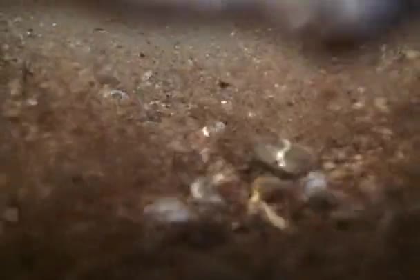 Underwater wave in stone seabed — Stock Video