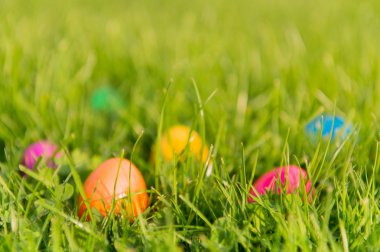 Renkli Paskalya yumurtaları