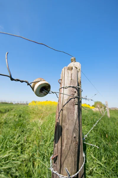 Electric fence in meadow — Stock Photo, Image