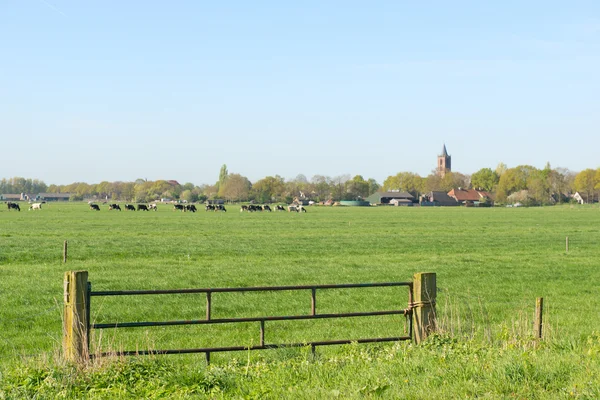 Голландский пейзаж с небольшой деревней — стоковое фото