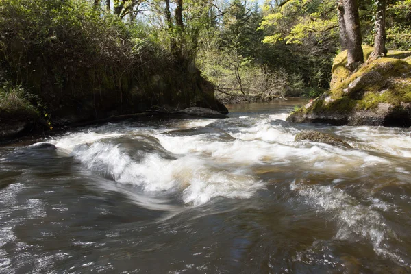 River the Dronne — Stock Photo, Image