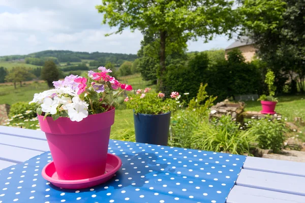 Bloemen in Franse landschap — Stockfoto