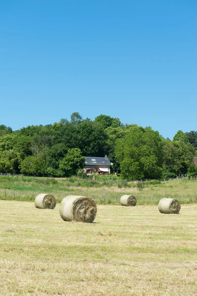 Hay roll we Francji — Zdjęcie stockowe