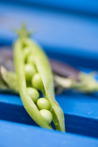 Abra marrowfat e ervilha verde em azul — Fotografia de Stock