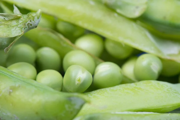 Guisantes verdes abiertos — Foto de Stock