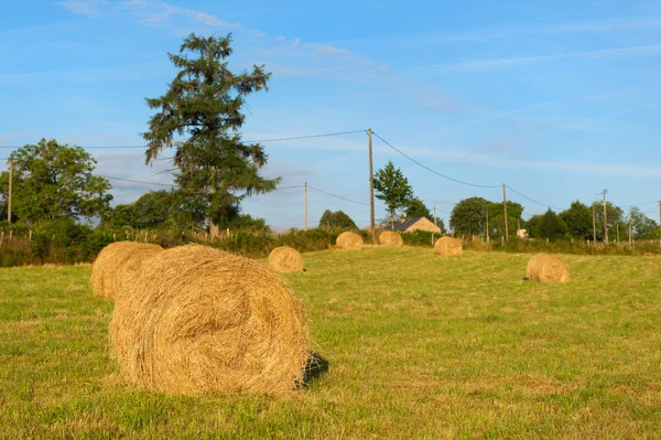 Hay roll we Francji — Zdjęcie stockowe