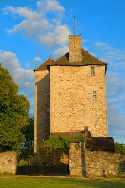 Château à Salon-la-tour — Photo