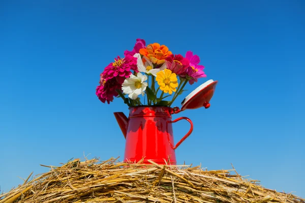 Bouquet flowers in summer — Stock Photo, Image
