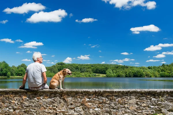 Homem sênior com cão velho na paisagem da natureza — Fotografia de Stock