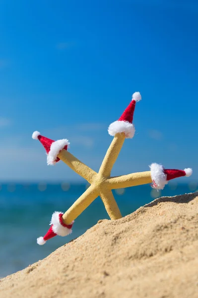 Морська зірка з капелюхи Різдво — стокове фото