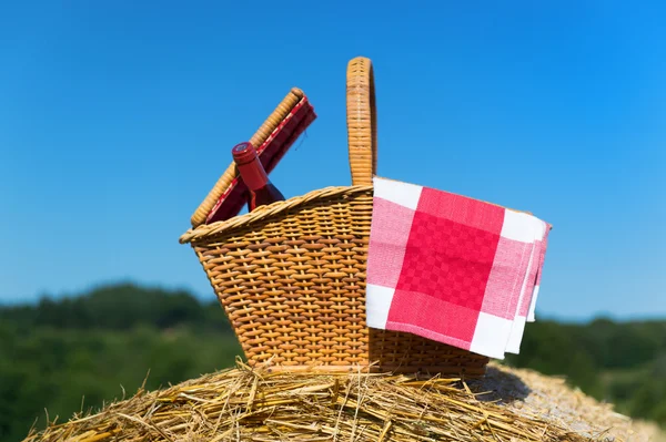 Picknickkorg i sommar — Stockfoto
