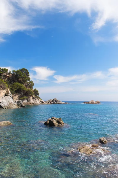 Stelle marine in spiaggia — Foto Stock