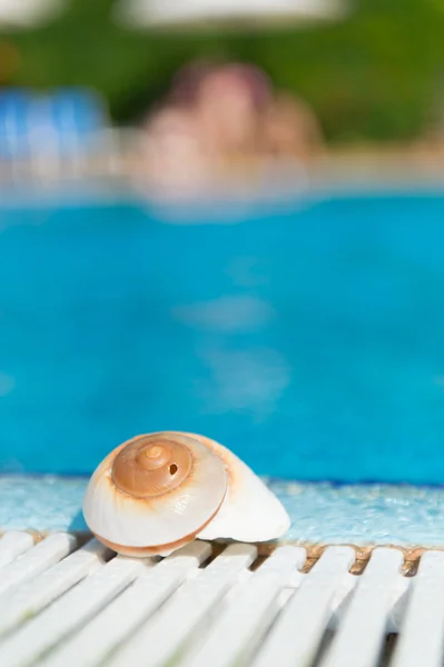 Shell bij zwembad — Stockfoto