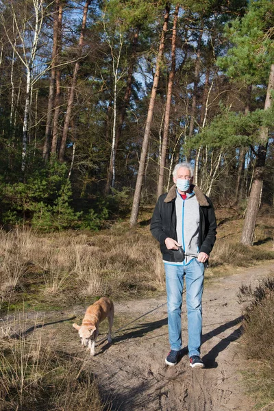 Senior Man Met Gezichtsmasker Die Hond Uitlaat Het Natuurbos — Stockfoto