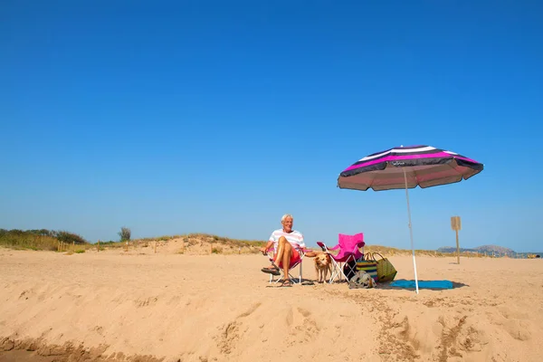 Homem Sênior Descansando Com Cachorro Velho Praia Verão — Fotografia de Stock