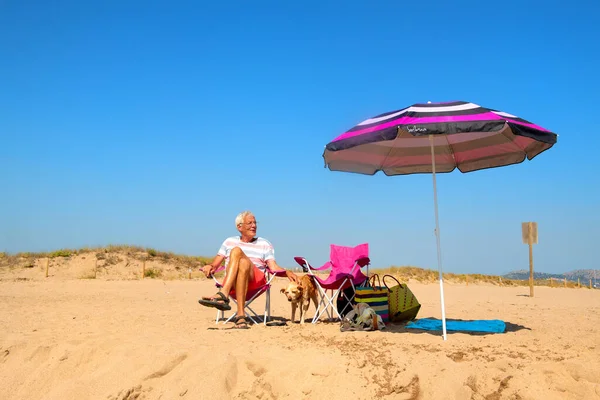 Ανώτερος Άντρας Ξεκουράζεται Γέρικο Σκυλί Στην Καλοκαιρινή Παραλία — Φωτογραφία Αρχείου