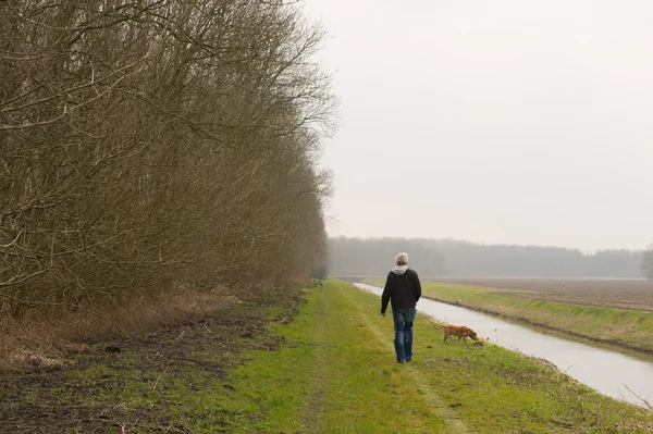 Walking the dog in nature — Stock Photo, Image