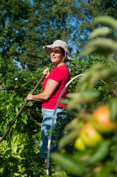 Vrouw in moestuin — Stockfoto