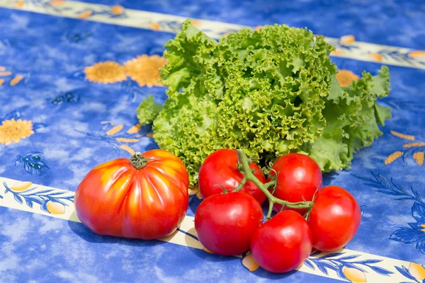 Alface e tomate — Fotografia de Stock