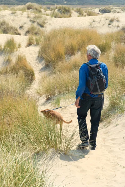 Senior man hiking with dog — Stock Photo, Image