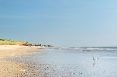 Kuzey Denizi'nde beach