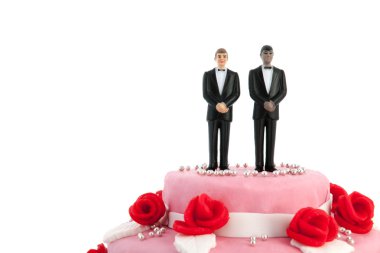 Düğün pastası ile gay çift