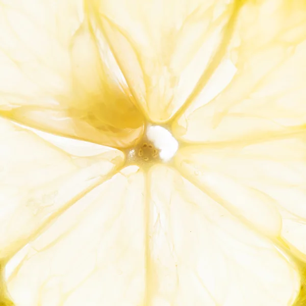 Färsk citron — Stockfoto