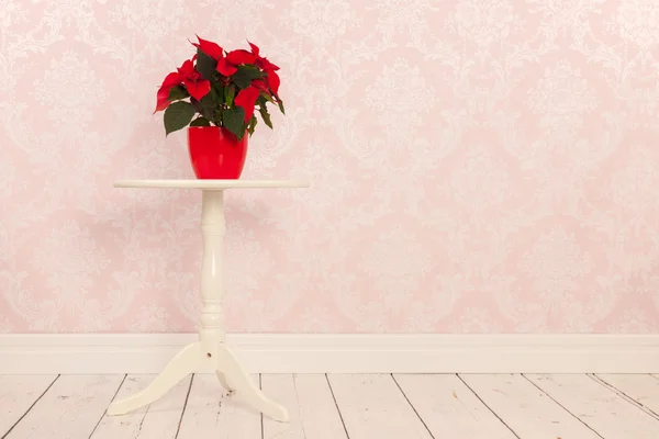 Interno vintage con Poinsettia — Foto Stock