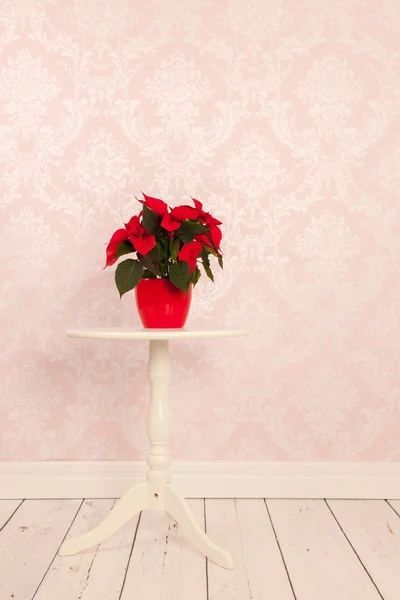 Interior vintage com Poinsettia — Fotografia de Stock