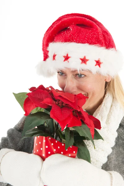 Tempo di Natale — Foto Stock